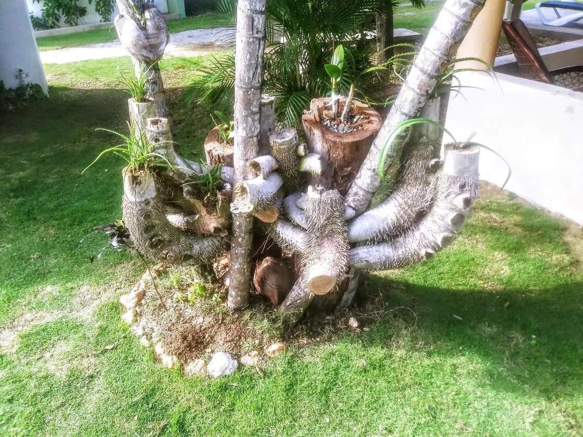 El Conde Del Macao Lejlighed Punta Cana